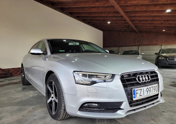 Audi A5 cena 53900 przebieg: 245000, rok produkcji 2012 z Głuchołazy małe 301